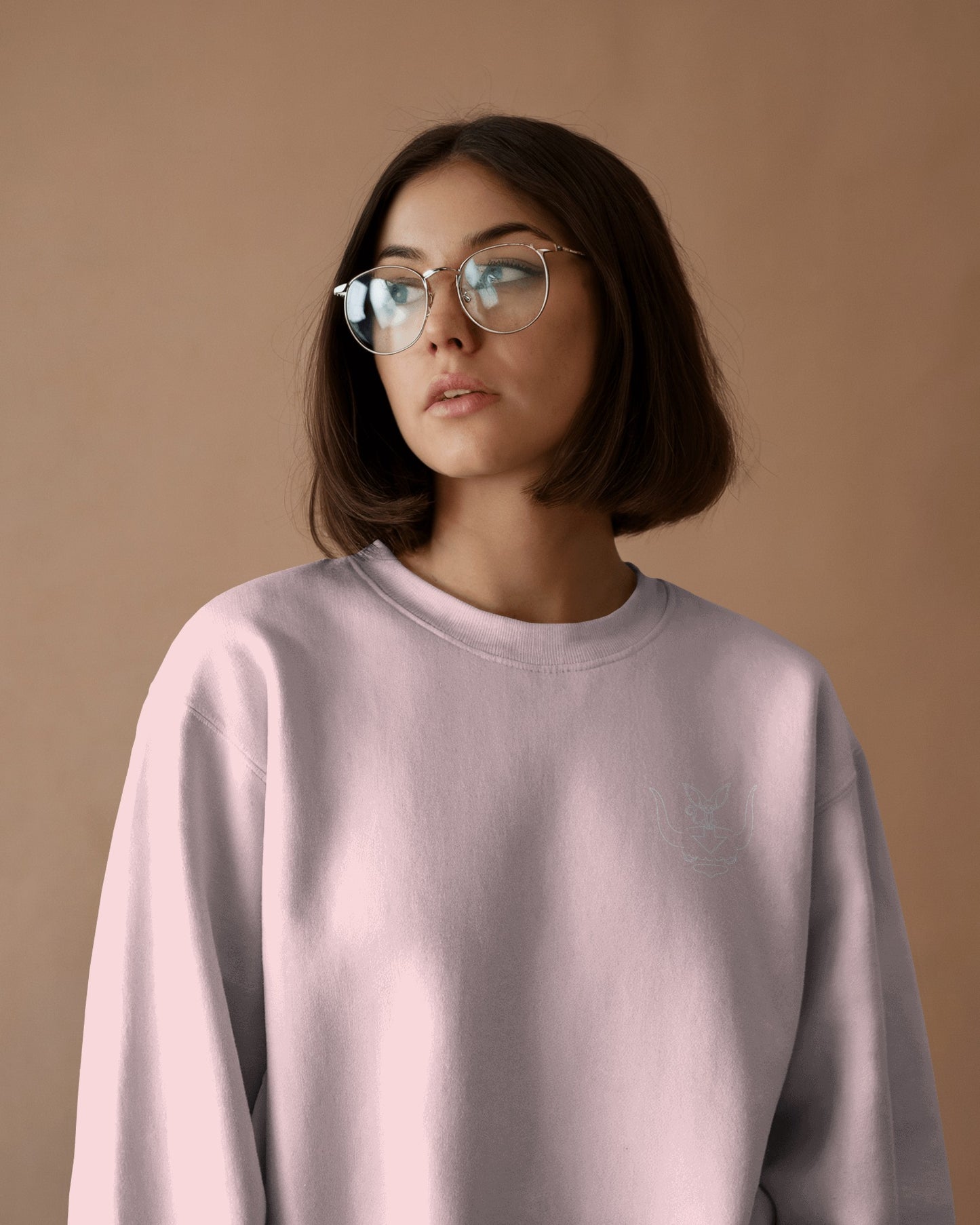 Flying Friends - Sweater